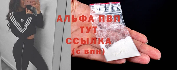 тгк Магас