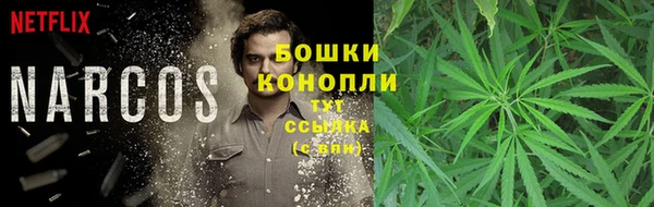 СК Орехово-Зуево