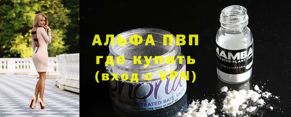 тгк Магас