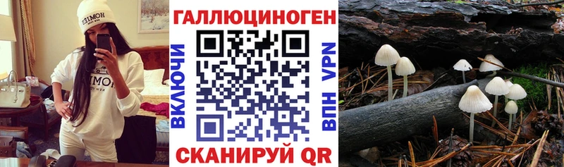 Галлюциногенные грибы Psilocybe  продажа наркотиков  Кувшиново 